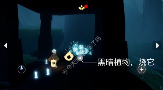 光遇1月3日每日任务攻略-光遇1.3每日任务怎么做图片4