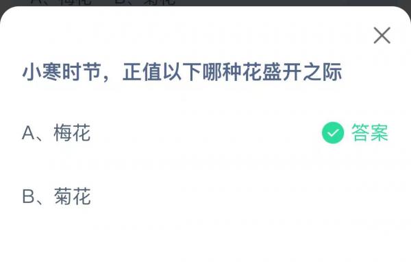 蚂蚁庄园今日答案1月5日分享-小寒时节正值以下哪种花盛开之际图片1