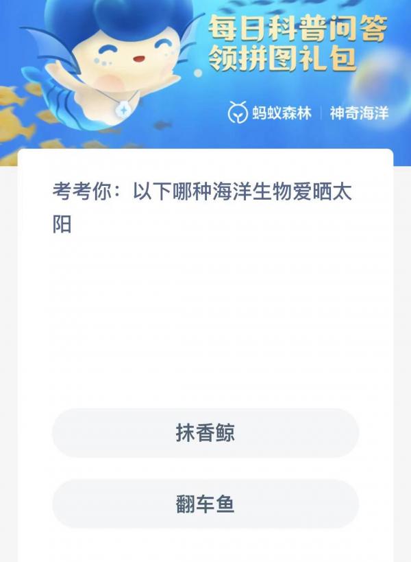 神奇海洋2.23答案一览-以下哪种海洋生物爱晒太阳图片1