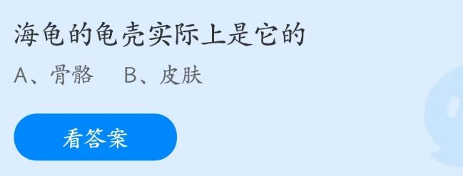 蚂蚁庄园3.2答案解析-海龟的龟壳实际上是它的图片1