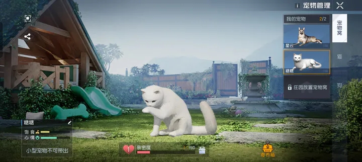 黎明觉醒猫怎么带出去-黎明觉醒带猫出门攻略图片1