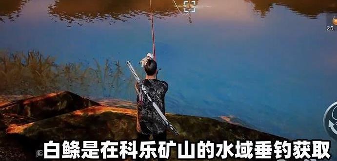 黎明觉醒油炸白鲦鱼制作方法-黎明觉醒油炸白鲦鱼配方一览图片2