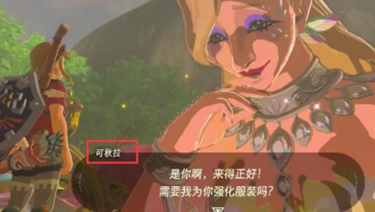 王国之泪4个大精灵之泉位置介绍-王国之泪4个大精灵之泉在哪图片4