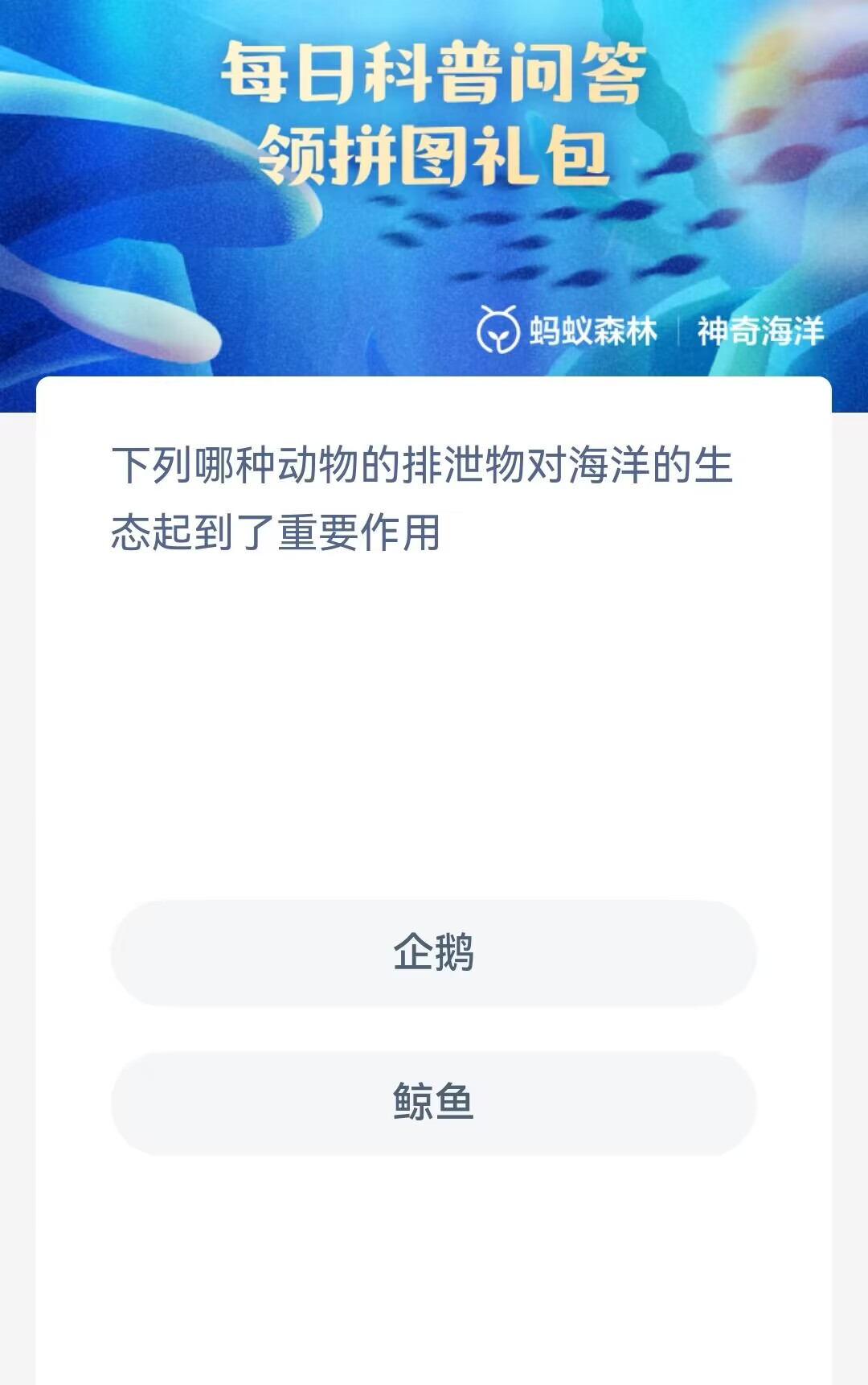 神奇海洋6月13日答案一览-哪种动物的排泄物对海洋的生态起到了重要作用图片1