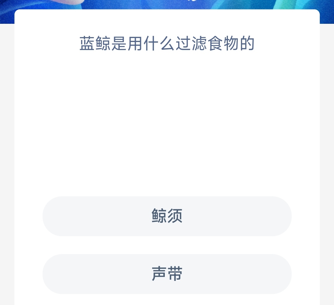 神奇海洋6月8日最新答案一览-蓝鲸是用什么过滤食物的图片1