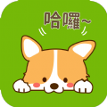 爱猫狗翻译app