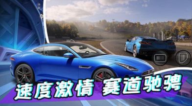 真实开车模拟游戏图1