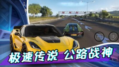 真实开车模拟游戏图2