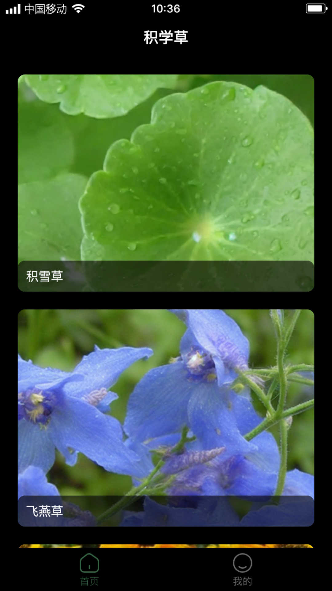 积学草app图1