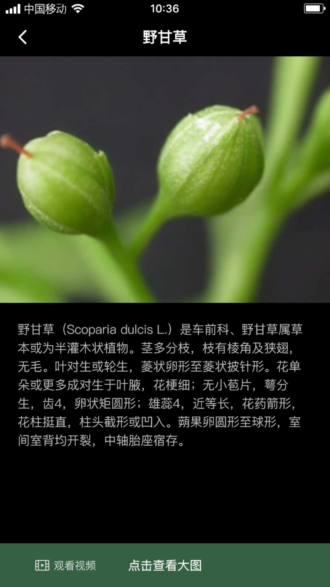 积学草app图2