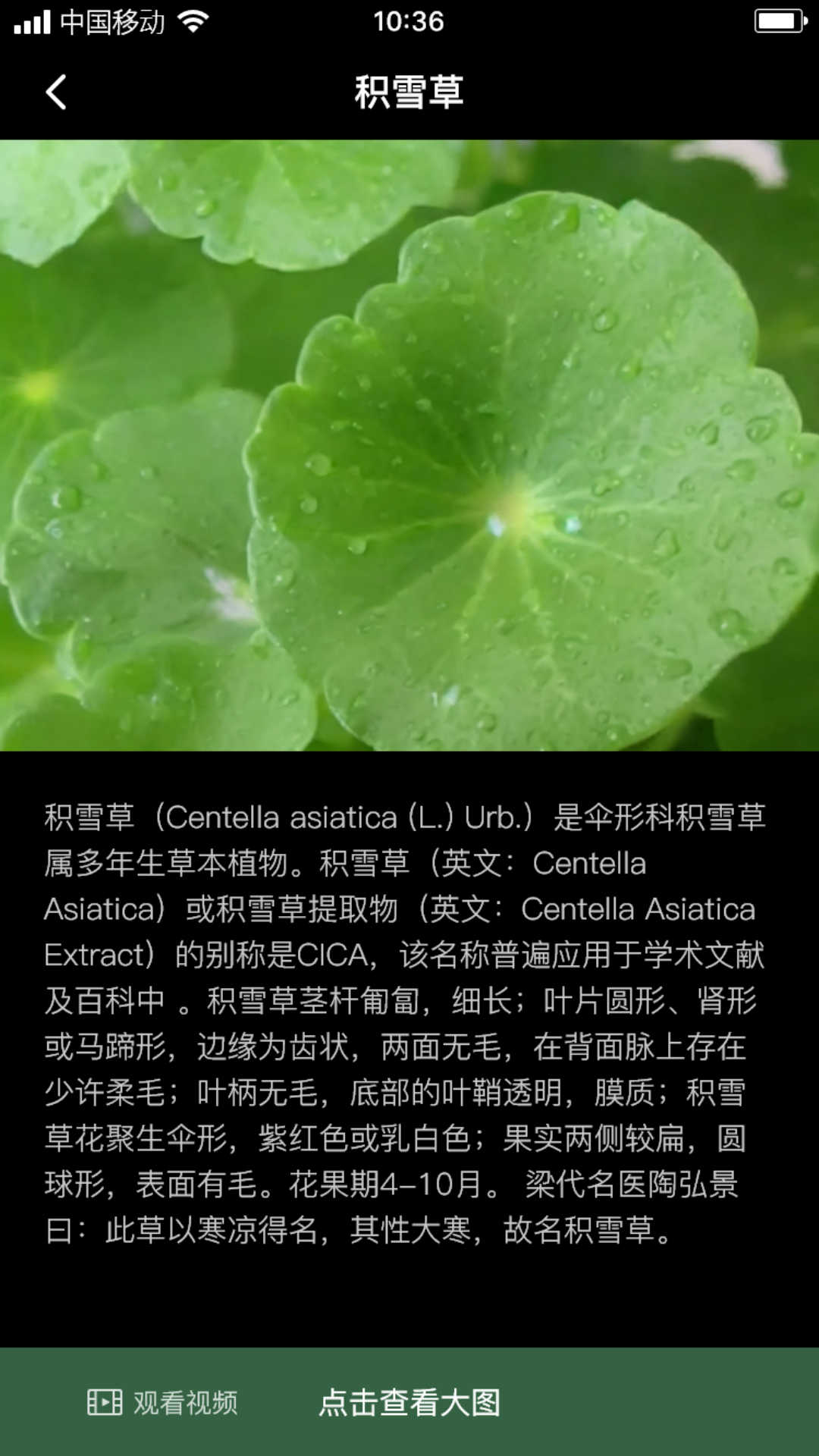 积学草手机版图片1