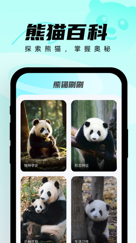 熊猫刷刷app图片1