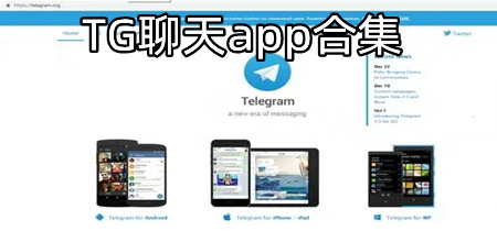 TG聊天app合集