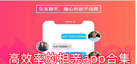 高效率的相亲app合集