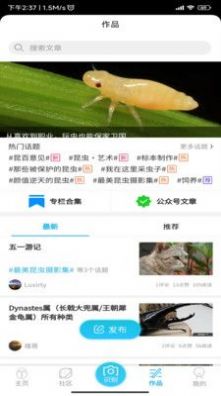 昆虫百科app图3