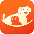宠物多多app