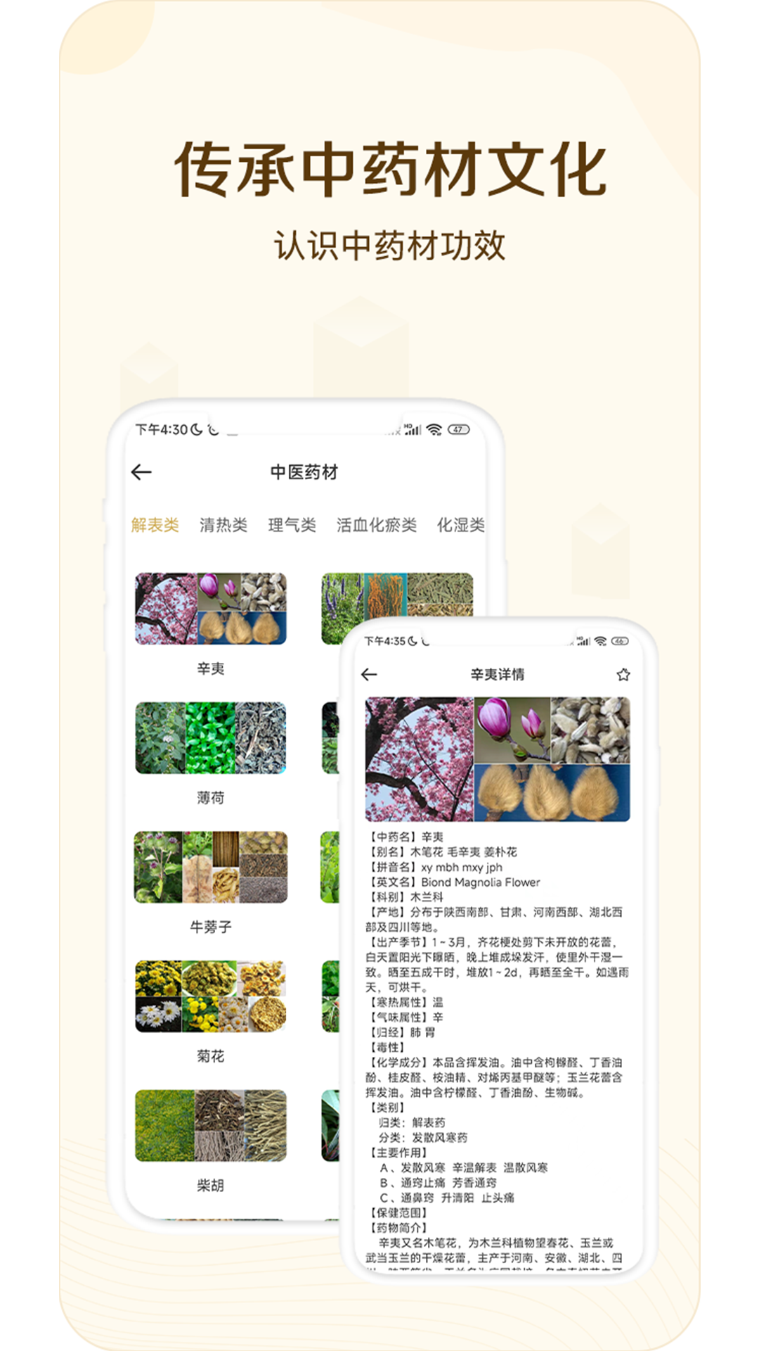 经络穴位指南app手机版图3