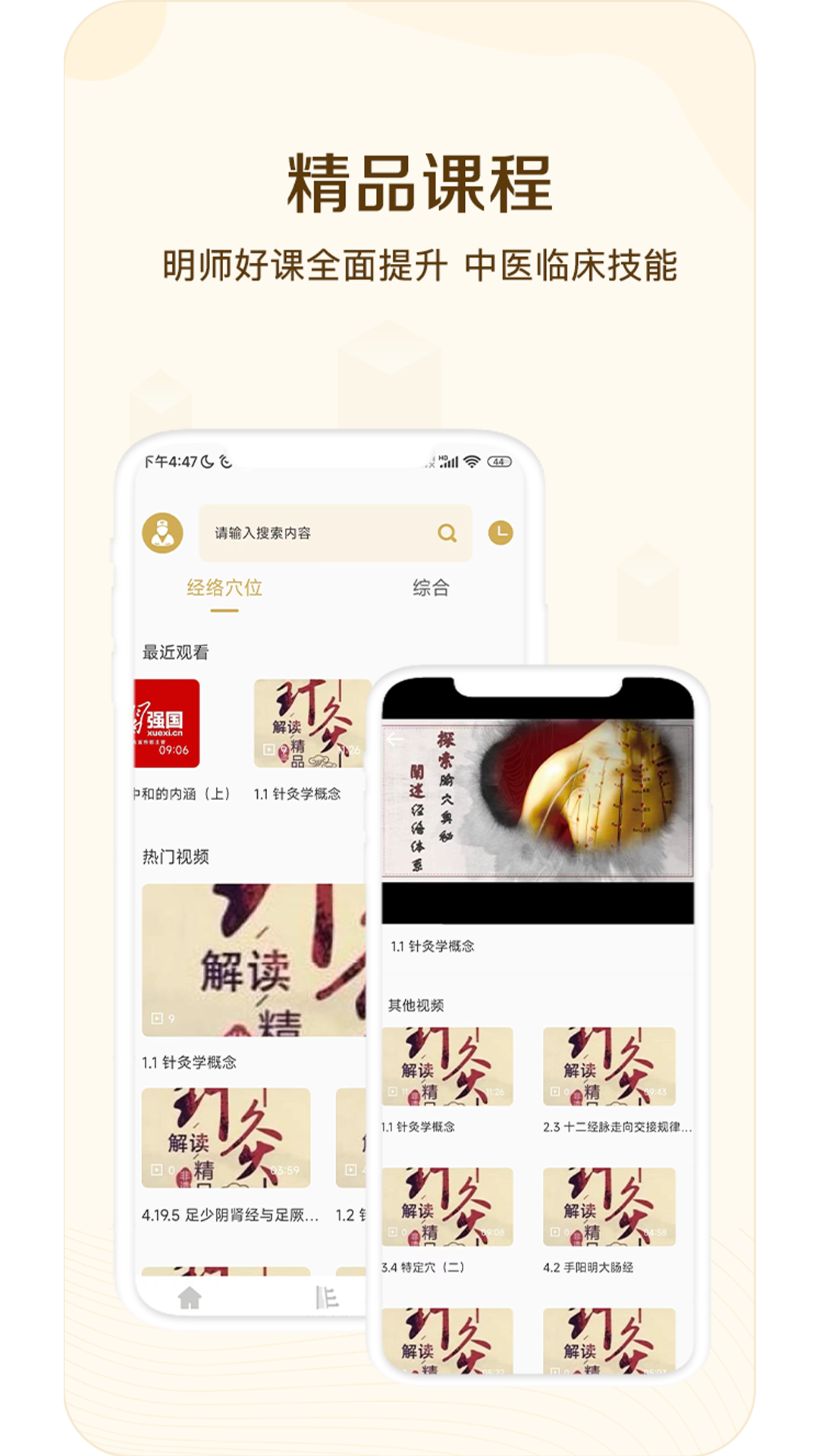 经络穴位指南app手机版图2