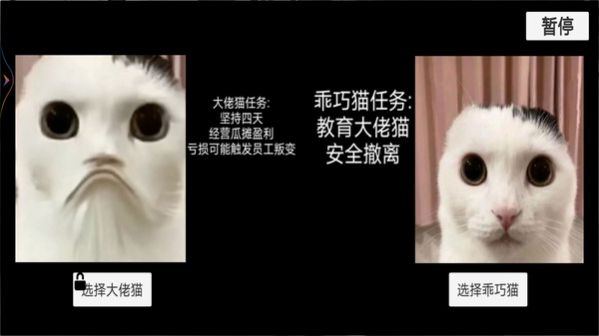 猫猫惊魂夜游戏图1