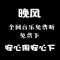 晚风音乐app安卓版